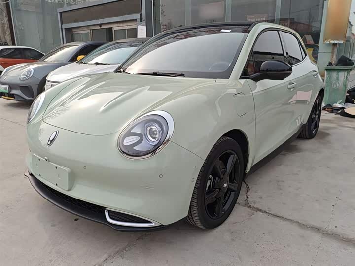 Ora Good Cat (03) 2024 2024款 401km 尊荣型 135kW