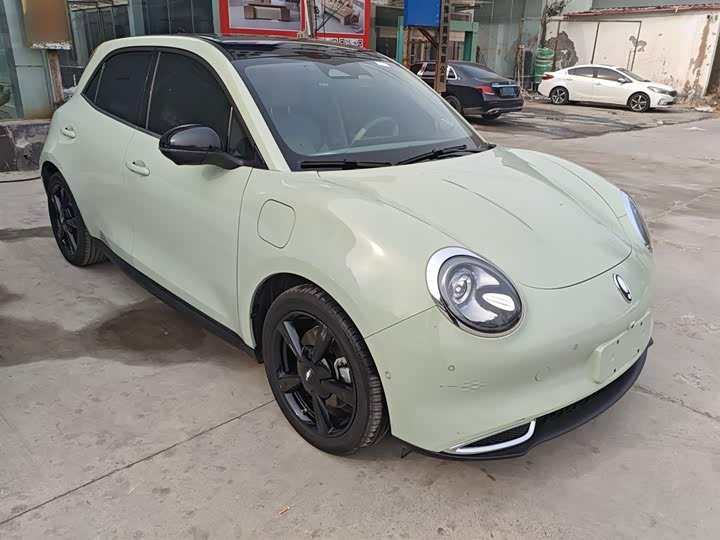 Ora Good Cat (03) 2024 2024款 401km 尊荣型 135kW