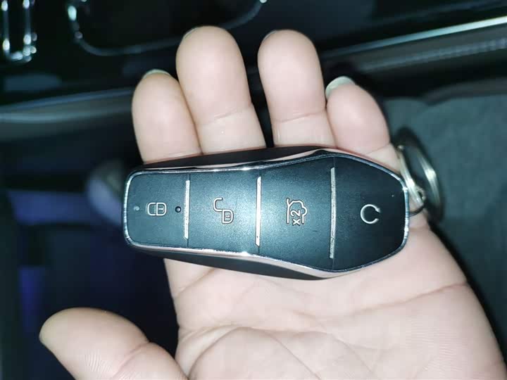 BYD Han 2025 2025款 DM-i 125KM尊贵型