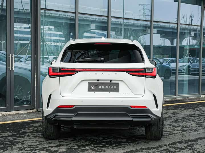 Lexus NX Hybrid 2022 2022款 400h+ 畅悦版