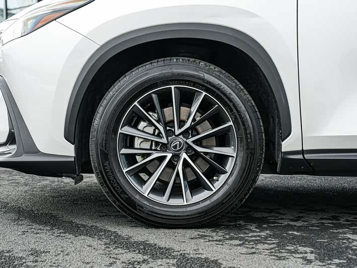 Lexus NX Hybrid 2022 2022款 400h+ 畅悦版