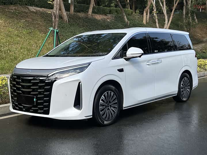 BYD Xia 2025 2025款 DM-i 1.5T 180km 超越型