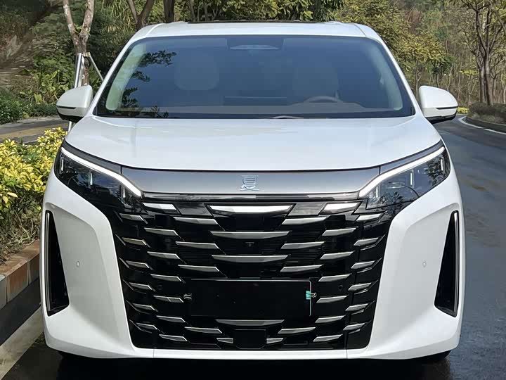 BYD Xia 2025 2025款 DM-i 1.5T 180km 超越型