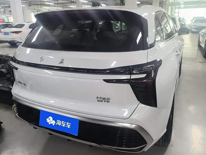 Hongqi HS3 2024 2024款 1.5T 善为版