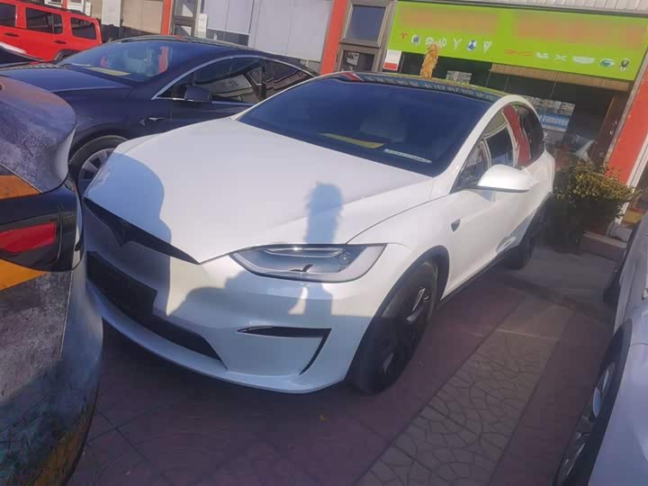 Tesla Model X 2023 2023款 双电机全轮驱动版