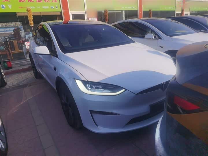 Tesla Model X 2023 2023款 双电机全轮驱动版
