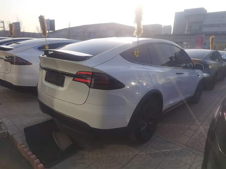 Tesla Model X 2023 2023款 双电机全轮驱动版