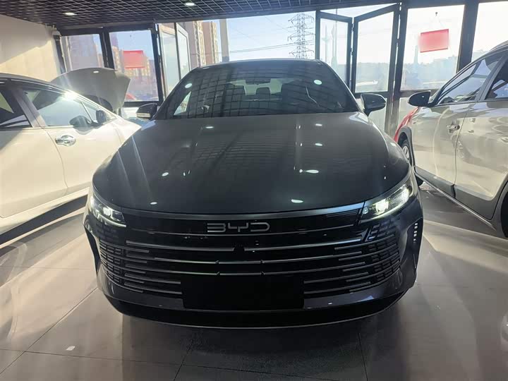 BYD Destroyer 05 2024 2024款 荣耀版 DM-i 55KM 豪华型