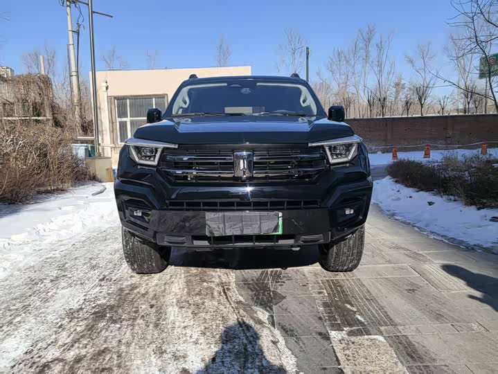 Tank 400 2025 2025款 2.0T 汽油版