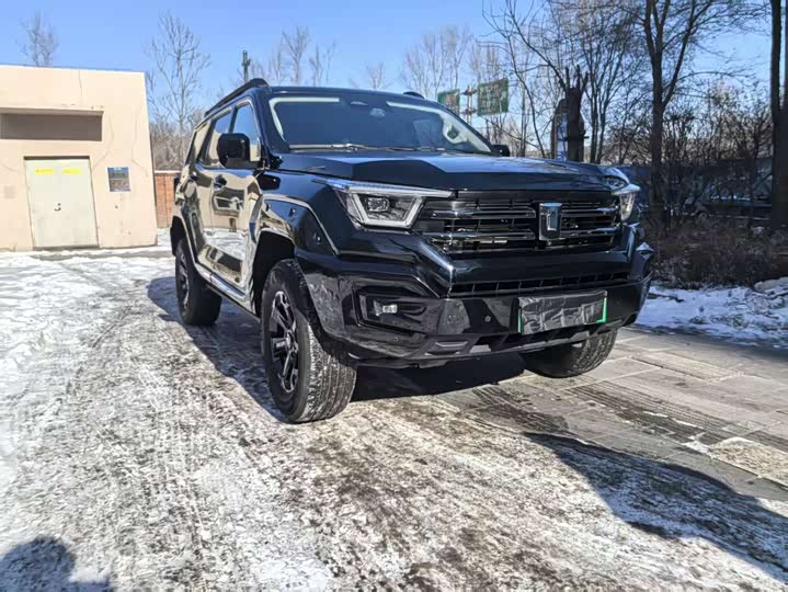 Tank 400 2025 2025款 2.0T 汽油版