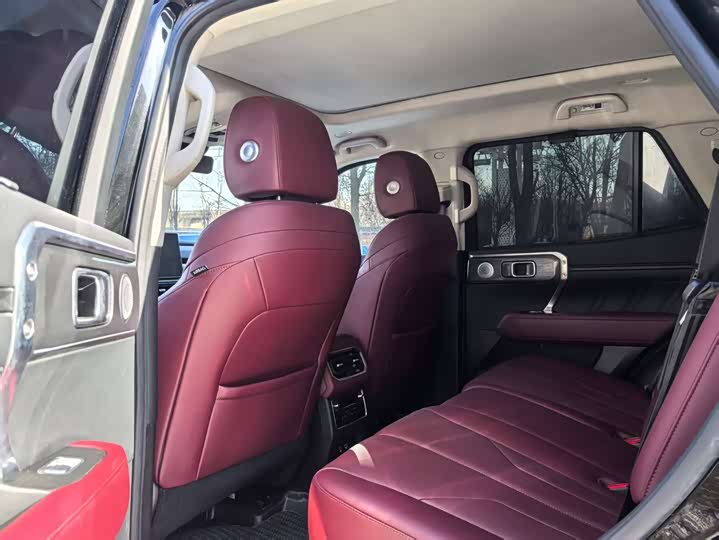 Tank 400 2025 2025款 2.0T 汽油版