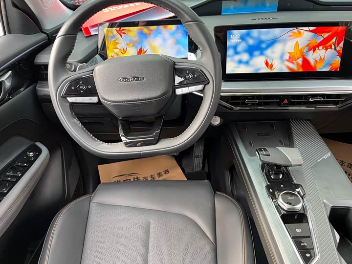 Changan Oshan Z6 2023 2023款 蓝鲸 1.5T DCT智酷型