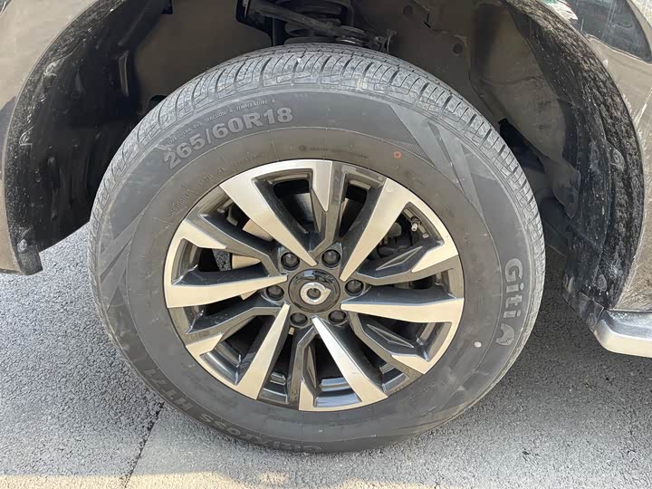 Great Wall Pao 2024 2024款 2.4T乘用版自动柴油四驱舒适型