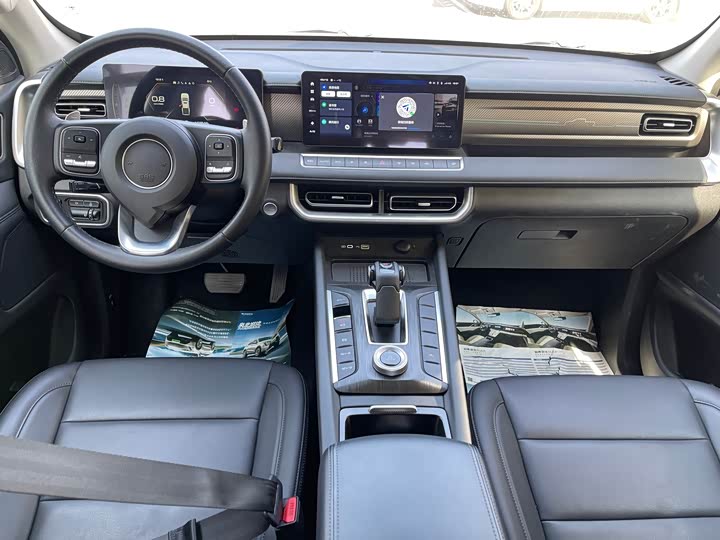 Great Wall Pao 2024 2024款 2.4T乘用版自动柴油四驱舒适型