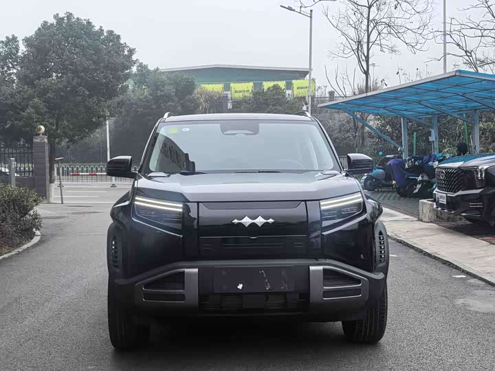BYD FangChengBao Titanium 3 (Tai 3) 2025 2025款 501KM 后驱Pro版