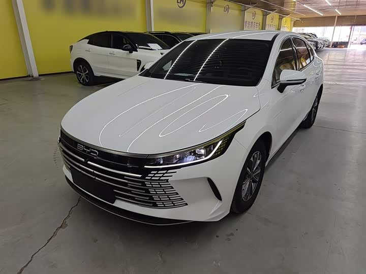 BYD Destroyer 05 2024 2024款 荣耀版 DM-i 55KM 豪华型