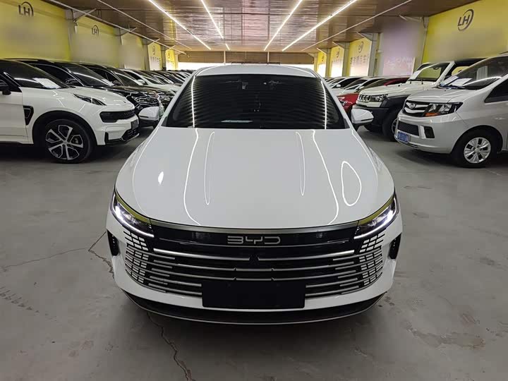 BYD Destroyer 05 2024 2024款 荣耀版 DM-i 55KM 豪华型