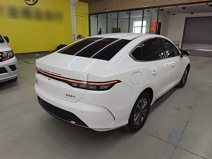 BYD Destroyer 05 2024 2024款 荣耀版 DM-i 55KM 豪华型