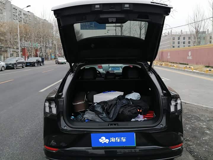 Ford Mustang Mach-E 2021 2021款 无疆后驱豪华版(长续航)