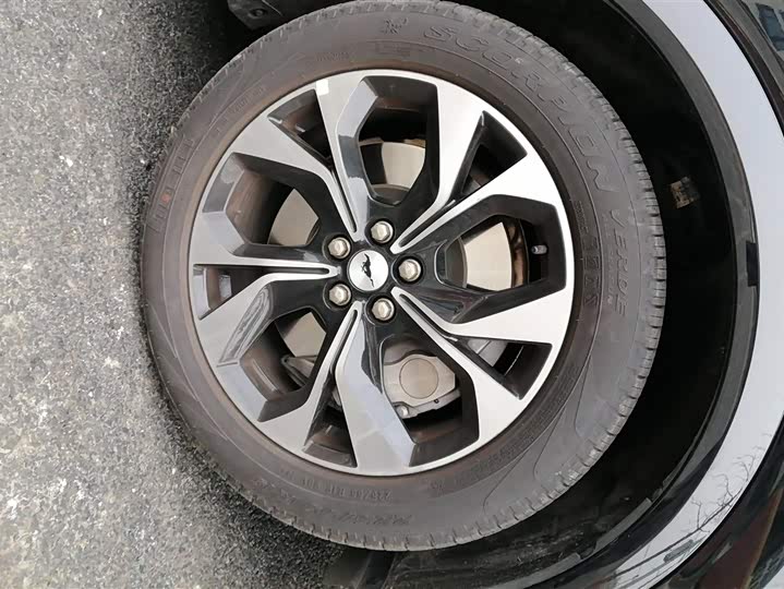 Ford Mustang Mach-E 2021 2021款 无疆后驱豪华版(长续航)