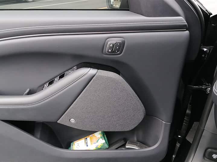 Ford Mustang Mach-E 2021 2021款 无疆后驱豪华版(长续航)