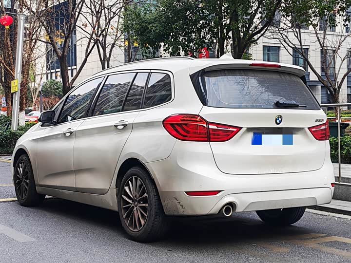BMW 2 Series Gran Tourer 2019 2019款 220i 领先型