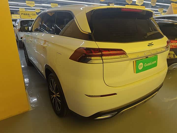 Changan Oshan X7 2021 2021款 1.5T 自动尊享型