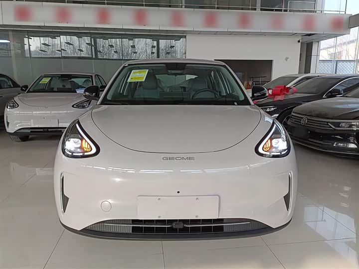 Geely Galaxy Geome 2026 2026款 310km 梦想版