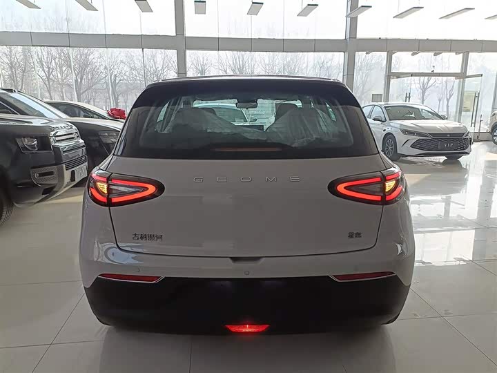 Geely Galaxy Geome 2026 2026款 310km 梦想版