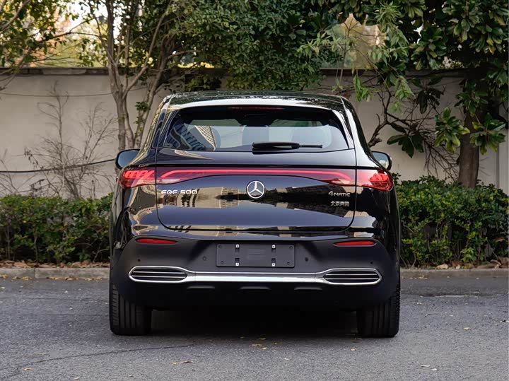 Mercedes-Benz EQE SUV 2024 2024款 500 4MATIC 豪华版