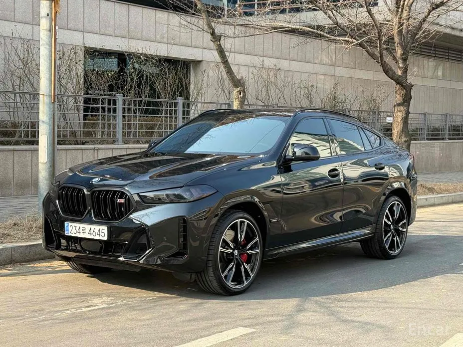 BMW X6 2020 M60i