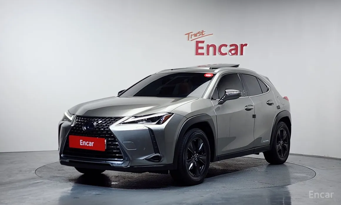 Lexus UX 2019 2.0 2WD