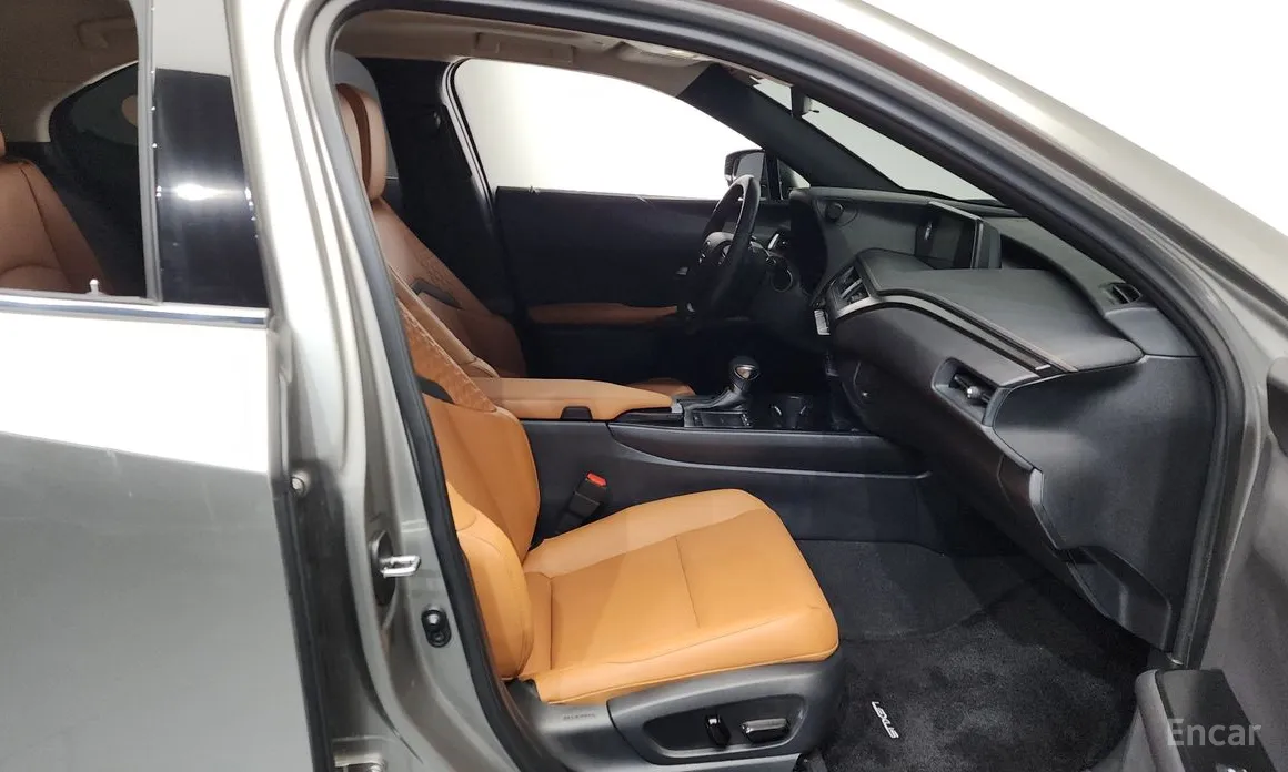 Lexus UX 2019 2.0 2WD