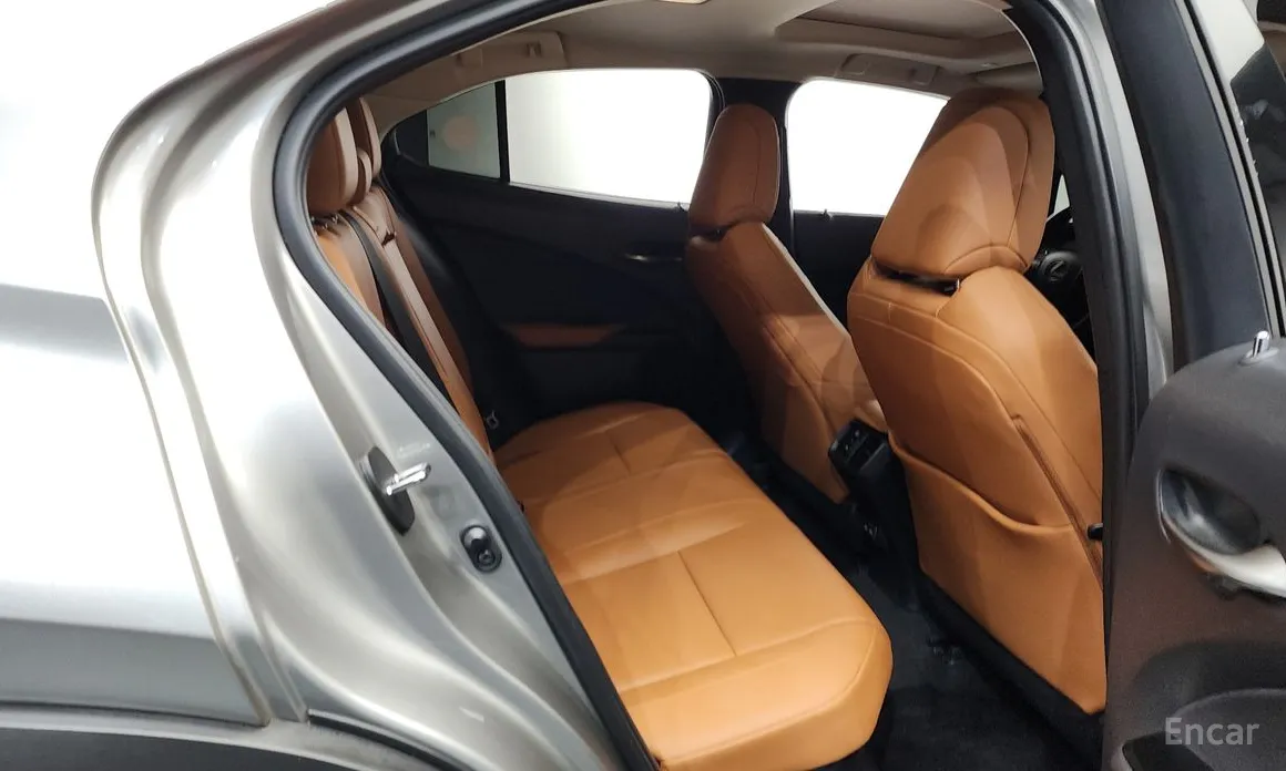 Lexus UX 2019 2.0 2WD