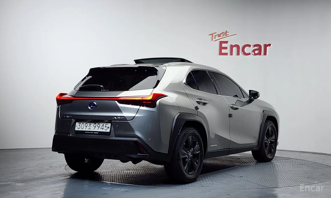 Lexus UX 2019 2.0 2WD