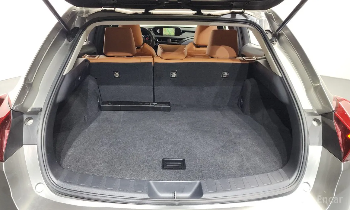 Lexus UX 2019 2.0 2WD