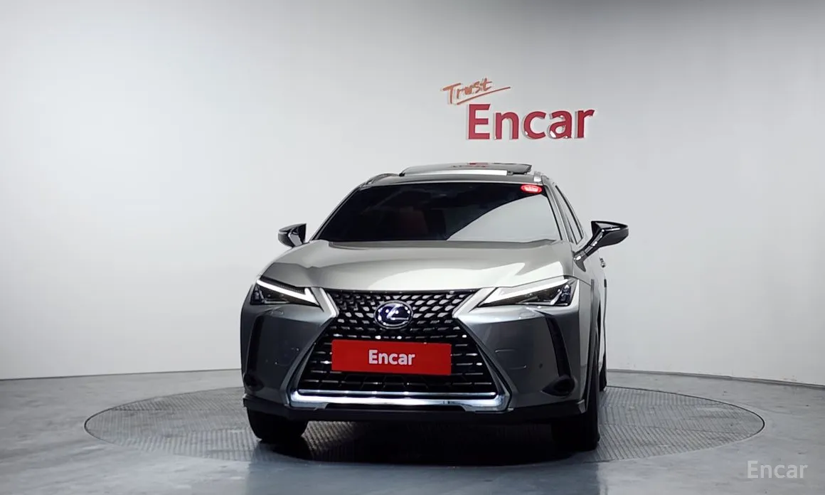 Lexus UX 2019 2.0 2WD
