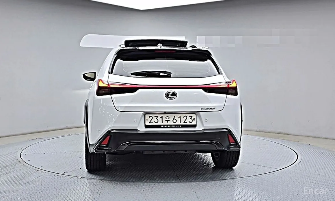 Lexus UX 2024 2.0 F-Sport 2WD