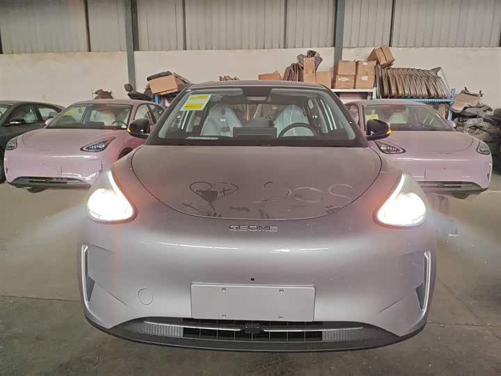 Geely Galaxy Geome 2026 2026款 310km 梦想版