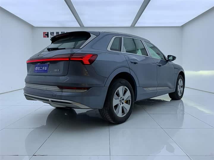 Audi e-tron 2021 2021款 50 quattro 豪华型