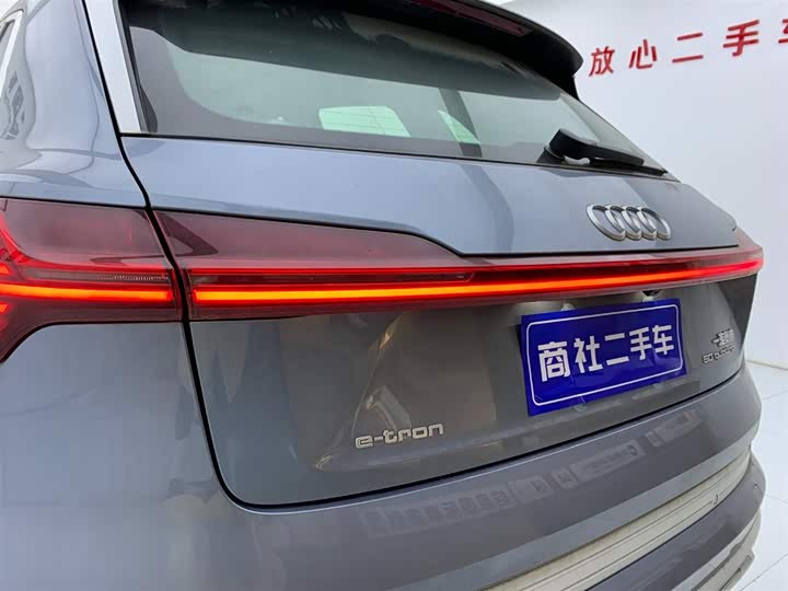 Audi e-tron 2021 2021款 50 quattro 豪华型