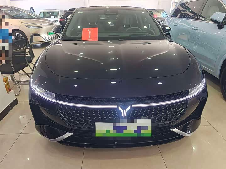 Voyah Passion 2024 2024款 PHEV 四驱超长续航旗舰版