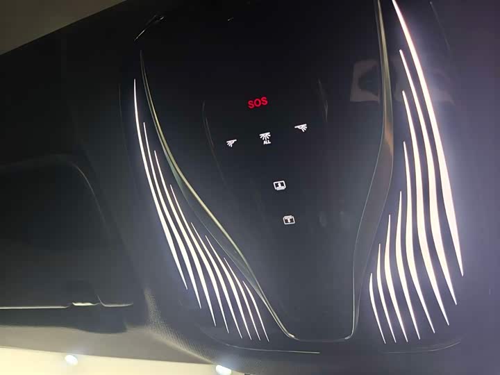 Voyah Passion 2024 2024款 PHEV 四驱超长续航旗舰版