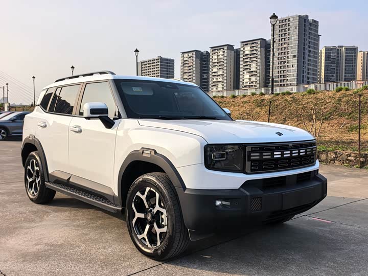 Jetour Shanhai T1 2024 2024款 150km 向海