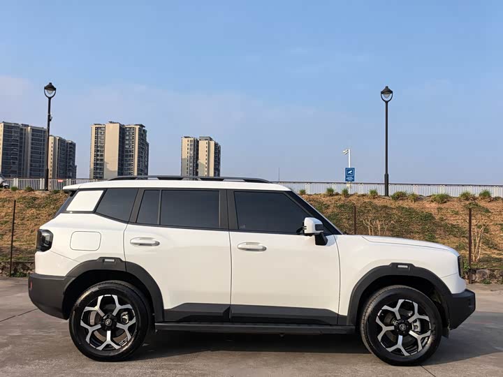 Jetour Shanhai T1 2024 2024款 150km 向海