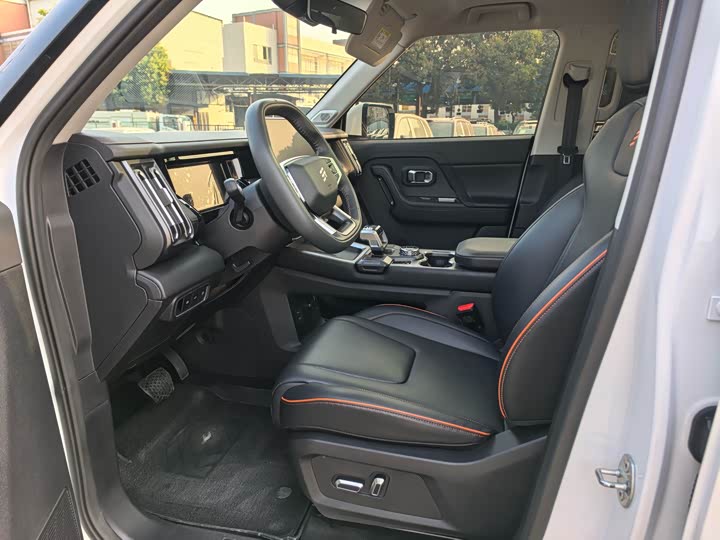 Jetour Shanhai T1 2024 2024款 150km 向海