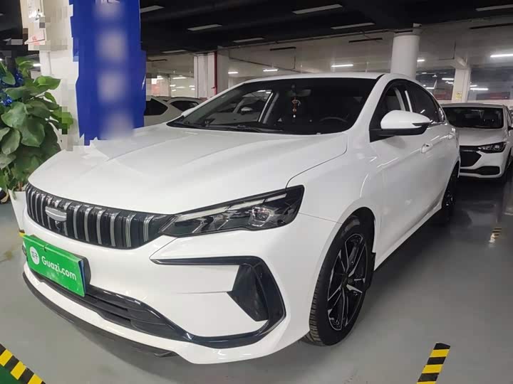 2024 Geely Binrui