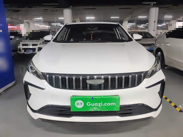 2024 Geely Binrui