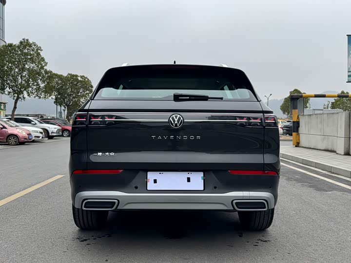 2025 Volkswagen Tavendor