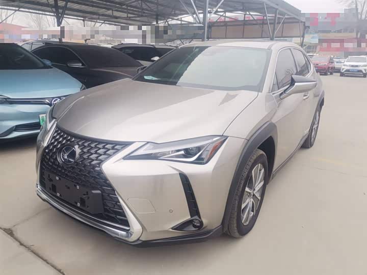 2020 Lexus UX Hybrid
